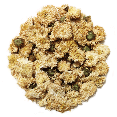 Chrysanthemum